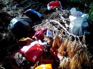 Otpad u šumi na Bokanjcu