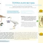 benkovac_tuvina-1