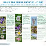obrovac_donji-tok-rijeke-zrmanje-flora-1