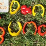 naslovna