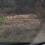 izlijevanje fekalija u okolis